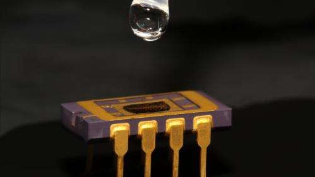 quimiorresistor