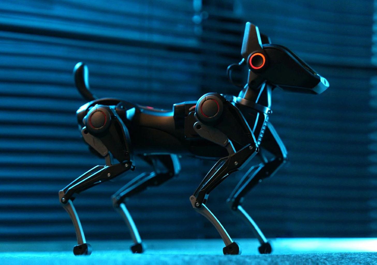 Personalización Hengbot Sirius