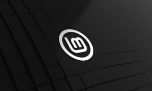 Linux Mint 22.2