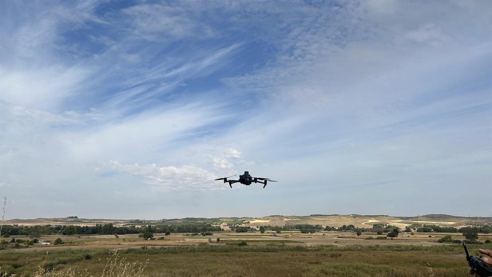 Drones seguimiento de aves en parque natural