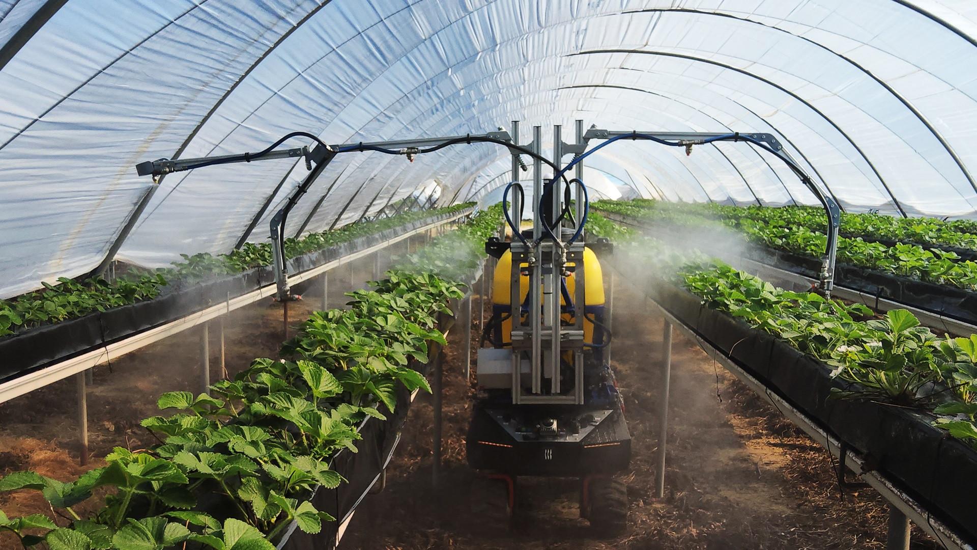 Robot para aplicación de fitosanitarios