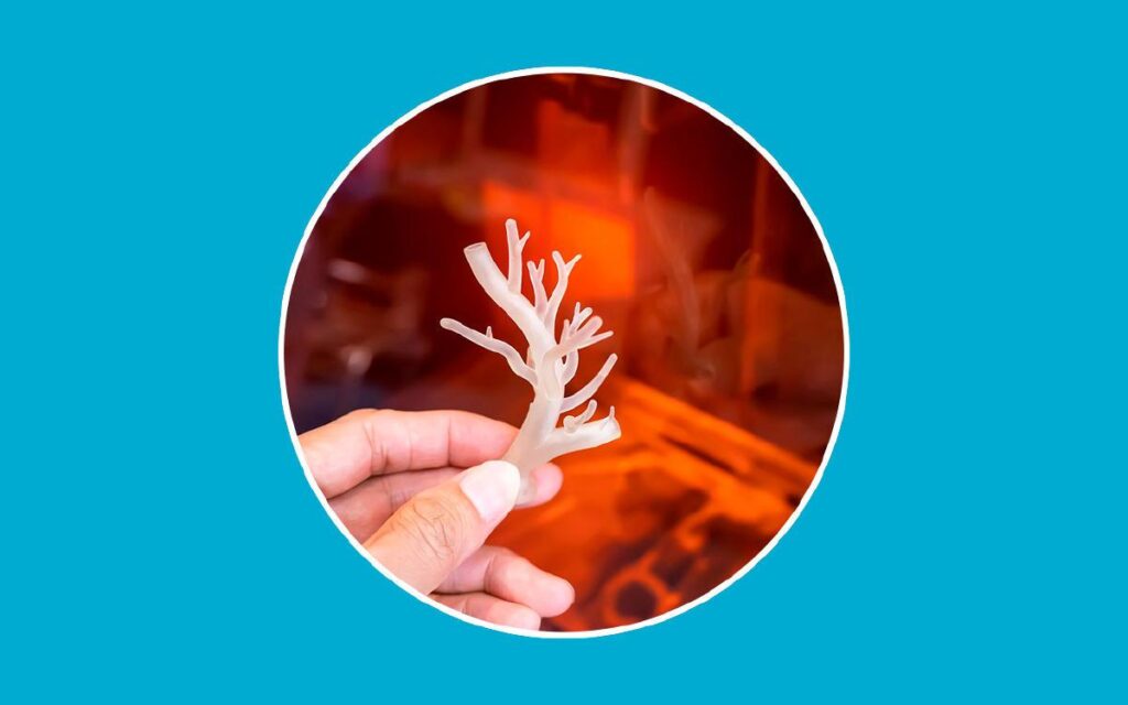 vaisseaux sanguins imprimés en 3D