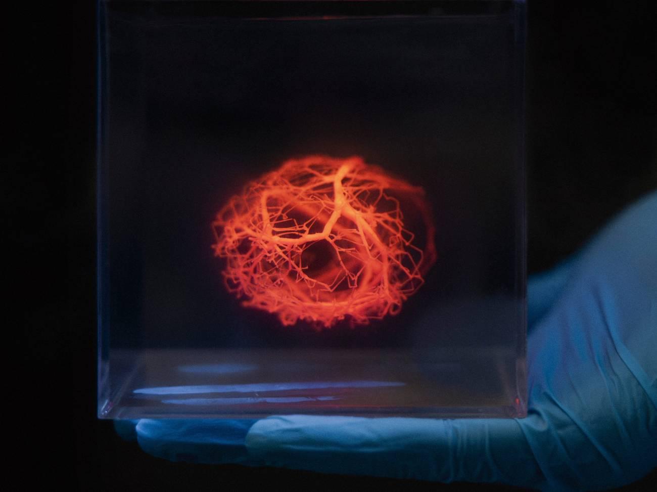 Microfabricación de vasos sanguíneos Microfabricación de vasos sanguíneos