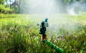 Plataforma inteligente que estima riego diario y ahorra 32% de agua