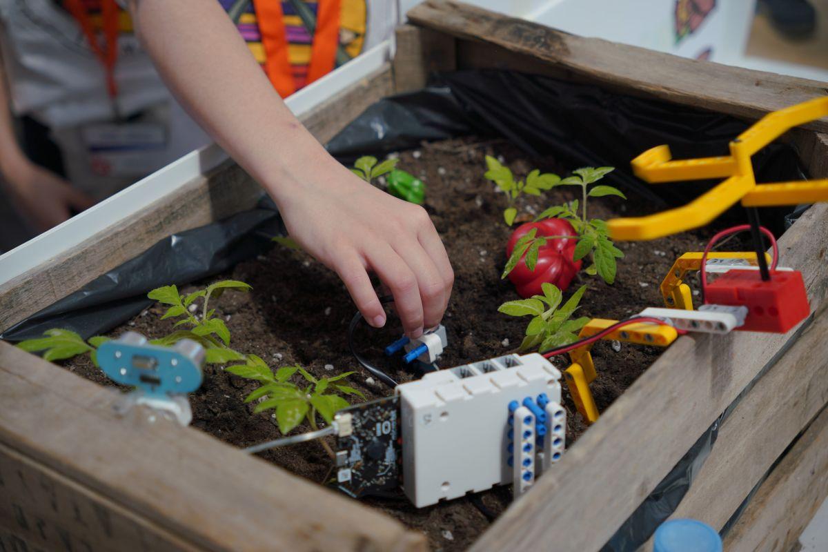 Torneo de robótica educativa en Las Rozas Torneo de robótica educativa en Las Rozas