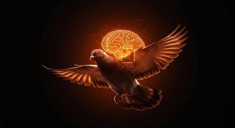 Tauben in biologischen Drohnen