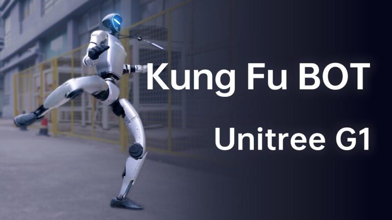 robots de kung fu