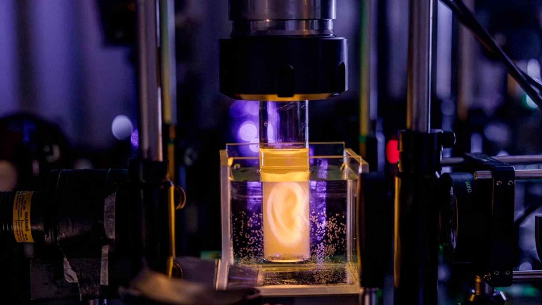 Avances en bioimpresión 3D con células vivas Bioimpresión 3D de órganos y tejidos vivos