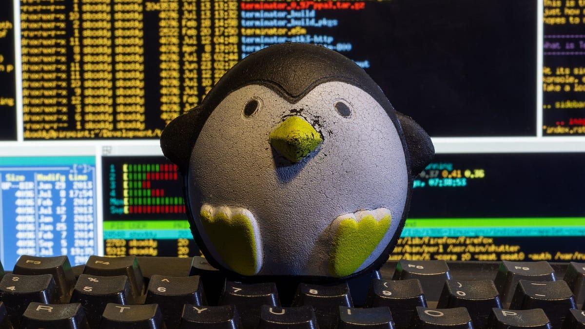 Kernel de Linux y vulnerabilidad Copy Fail Kernel de Linux y vulnerabilidad Copy Fail