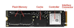 terminologÃa ssd
