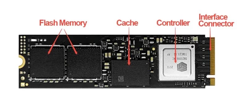 terminología ssd