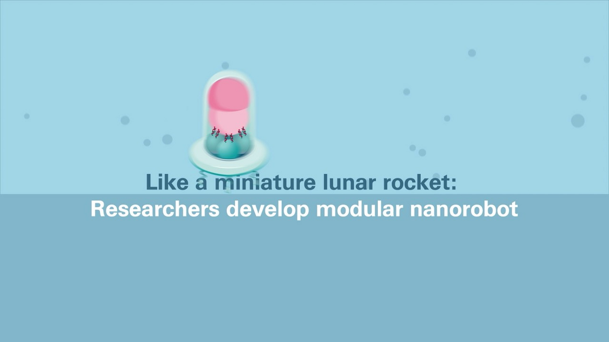 Diseño de nanorrobótica Diseño de nanorrobótica