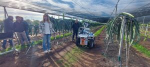 robótica agrícola