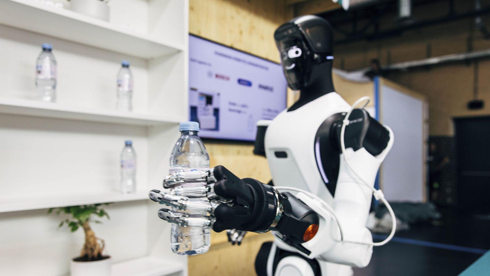 Robot humanoide Robot humanoide