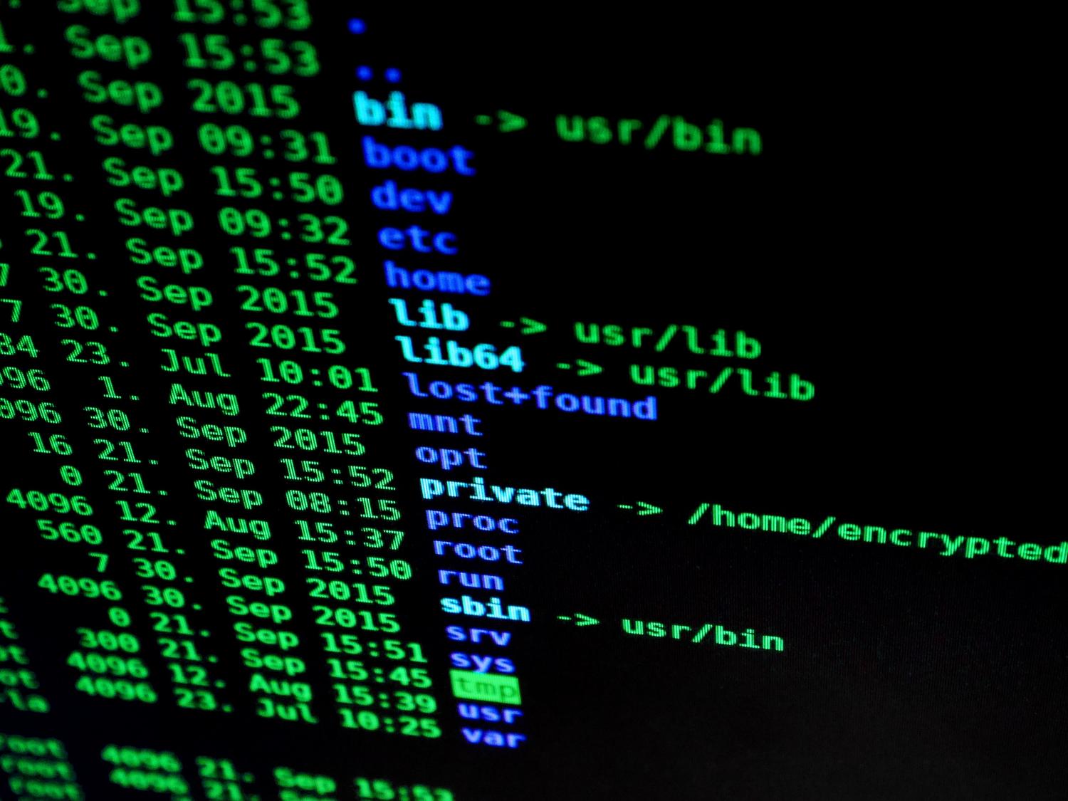 A Linux terminal screen showing a directory listing of the root file system, representing the software environment. A Linux terminal screen showing a directory listing of the root file system, representing the software environment.