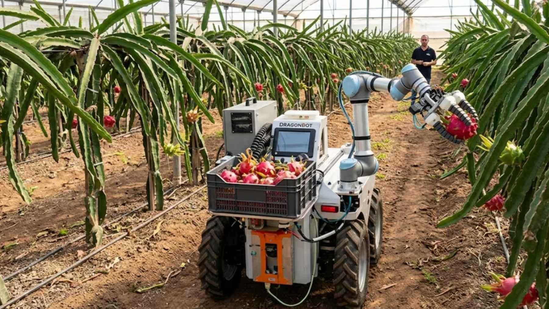 Drones y agricultura de precisión Agricultor usando un dron para controlar sus cultivos