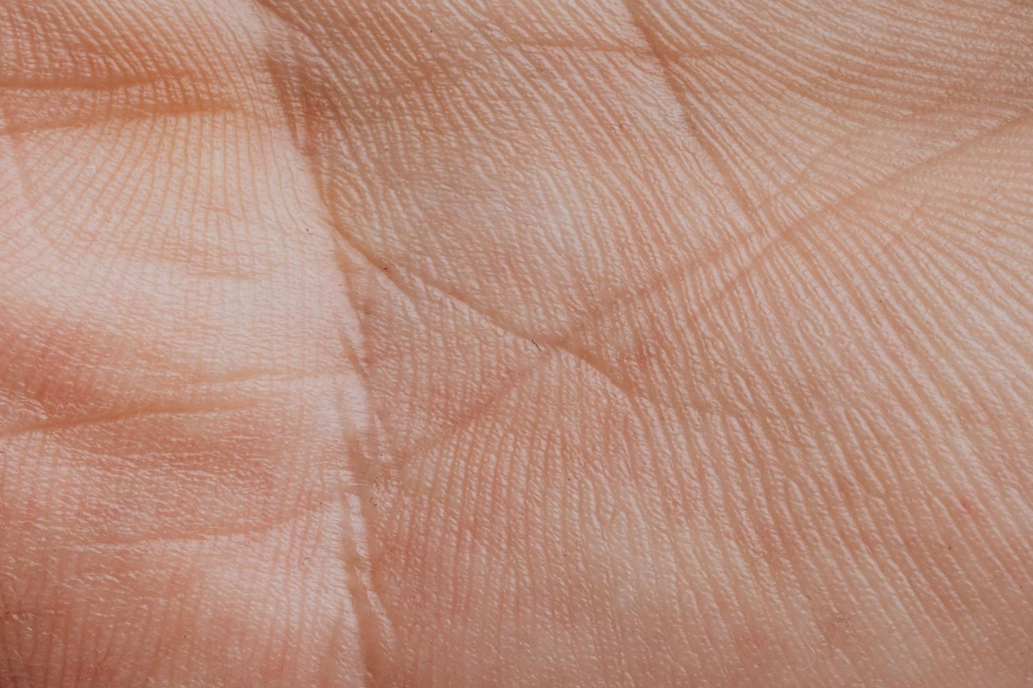 Primer plano de la palma de una mano humana Primer plano detallado de la palma de una mano humana, resaltando las líneas y texturas cutáneas.